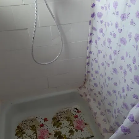 Casa Cu Flori