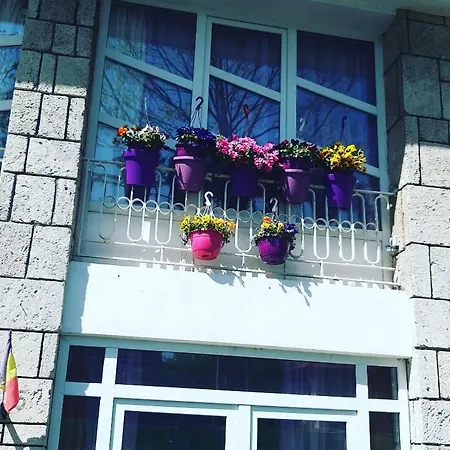 Casa Cu Flori Constanţa