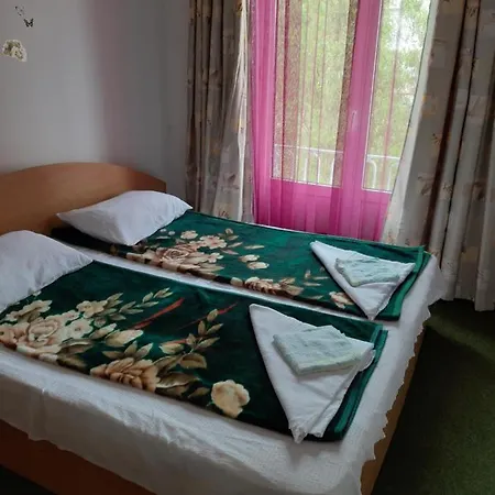 Casa Cu Flori *