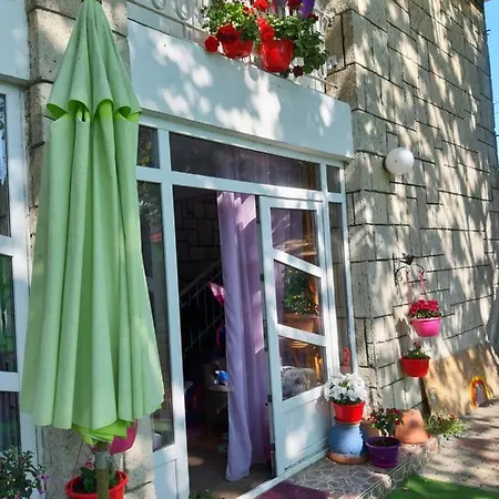 Casa Cu Flori *